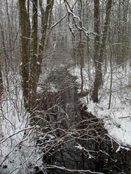 Empty Box Brook looking east from Rochdale